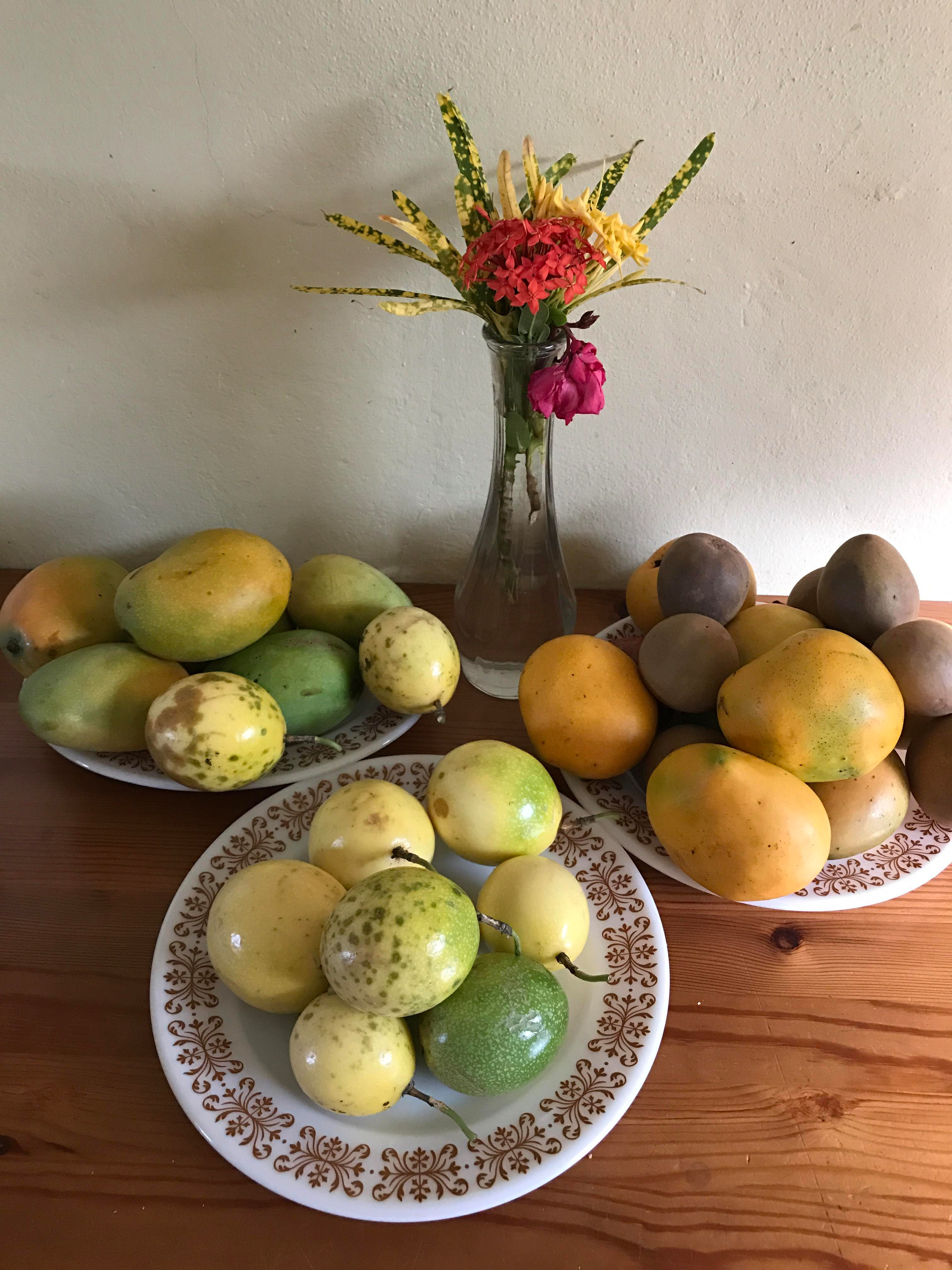 fruits-grenada.jpg